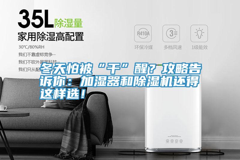 冬天怕被“干”醒？攻略告訴你：加濕器和除濕機還得這樣選！