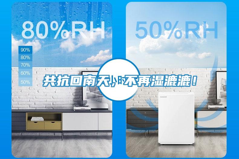 共抗回南天，不再濕漉漉！