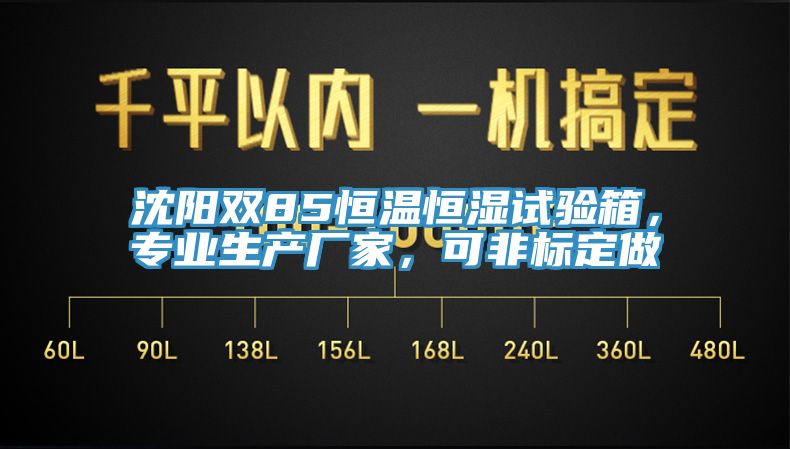 沈陽(yáng)雙85恒溫恒濕試驗(yàn)箱，專(zhuān)業(yè)生產(chǎn)廠家，可非標(biāo)定做
