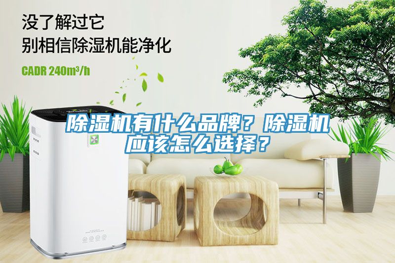 除濕機有什么品牌？除濕機應該怎么選擇？