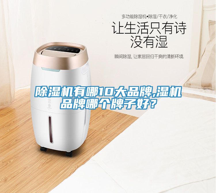 除濕機有哪10大品牌,濕機品牌哪個牌子好？