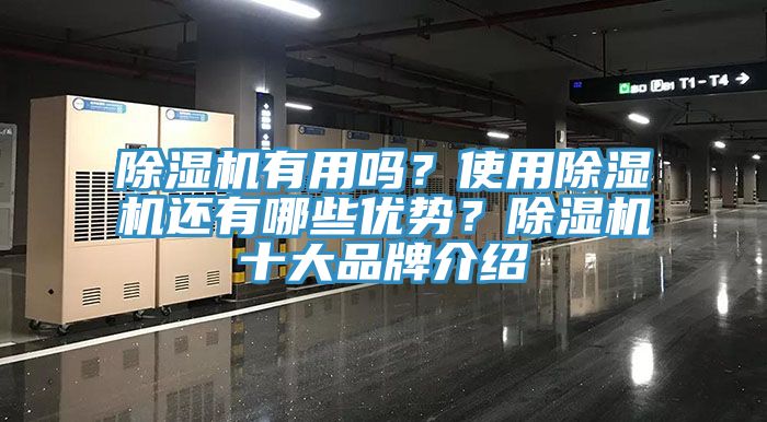 除濕機有用嗎？使用除濕機還有哪些優勢？除濕機十大品牌介紹