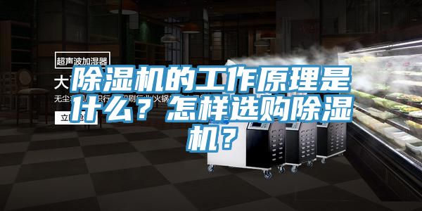 除濕機的工作原理是什么？怎樣選購除濕機？